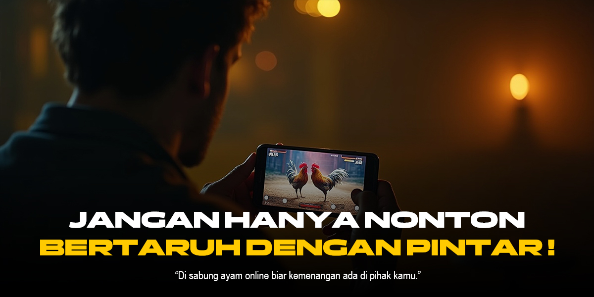 Fokus Kehebatan Ayam Bangkok di Sabung Ayam SV388