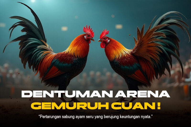 Mengasah Strategi Main Sabung Ayam di SV388