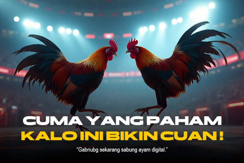 Mempelajari Jenis Ayam Aduan di Sabung Ayam SV388