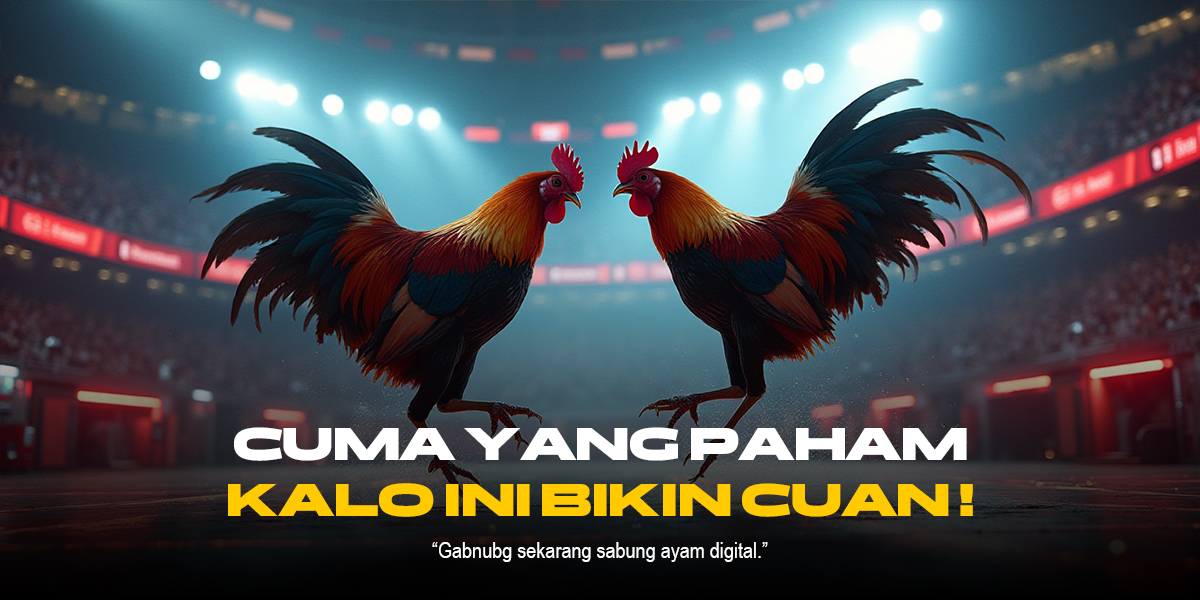 Mempelajari Jenis Ayam Aduan di Sabung Ayam SV388