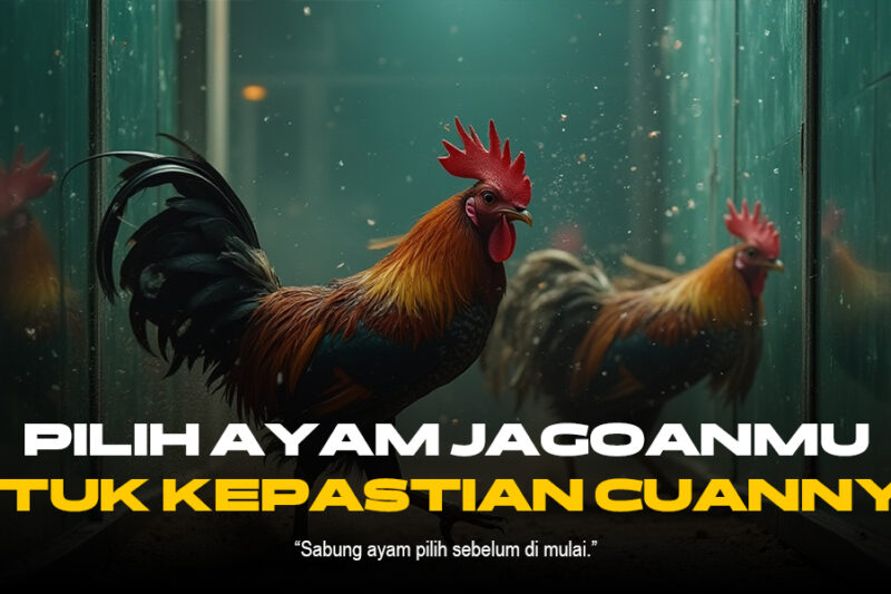 Odds dan Jenis Ayam dalam Sabung Ayam SV388