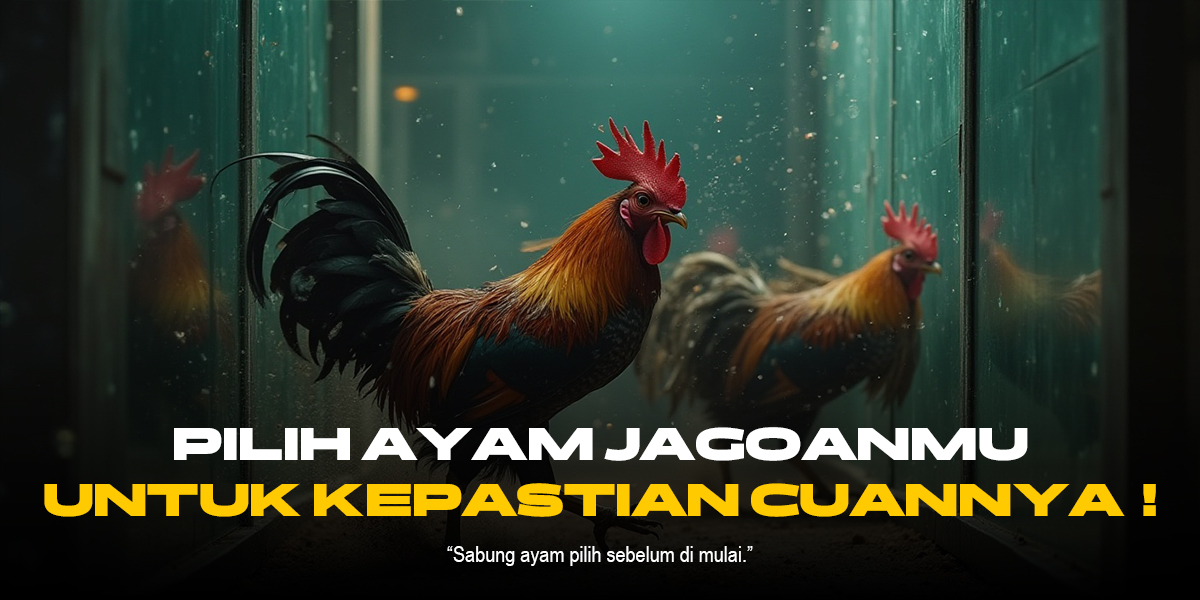 Odds dan Jenis Ayam dalam Sabung Ayam SV388