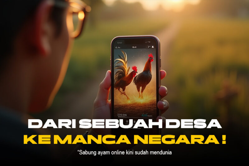 Kenali Ayam Bangkok SV388: Raja Sabung Ayam Online