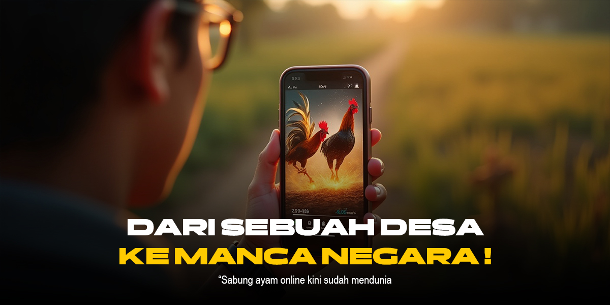 Kenali Ayam Bangkok SV388: Raja Sabung Ayam Online