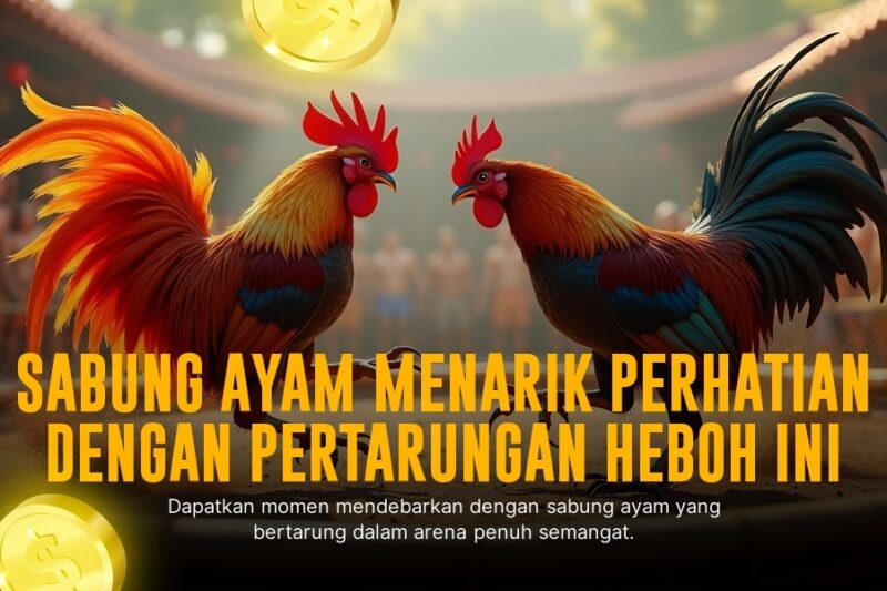 Mengenal Ayam Bangkok: Raja Sabung Ayam Online SV388